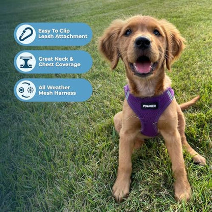 Best Pet Supplies Voyager Step-in Air All Weather Mesh Harness and Reflective Dog 5ft Leash Combo with Neoprene Handle, for Small, Medium and Large Breed Puppies - Purple, XXX-Small