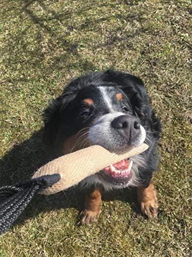 Dingo Gear Dog tug Toy with Handle, Natural fibers Jute 1,5x13,5in