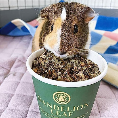 GuineaDad Organic Guinea Pig Herbal Treats - Guinea Pig Food with Convenient Packaging Dandelion Leaf Flavor 10 fl. oz - Guinea Pig Treats Help with Bonding High in Nutrition, Good for Digestion Small