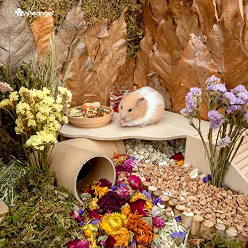 Niteangel Hamster Play Wooden Platform: Triangle - 9" L x 9" W - 6.3" H
