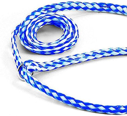 Guardian Gear Animal-Control O-Ring Slide Leads, 5' Long x ⅝" Wide, 12-Pack, Assorted Colors