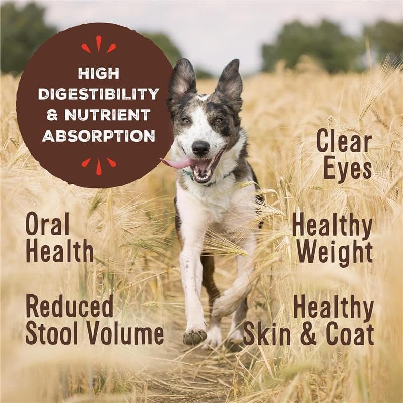 Primal Freeze Dried Raw Dog Food Nuggets, Chicken, 14 oz (4 Pack)