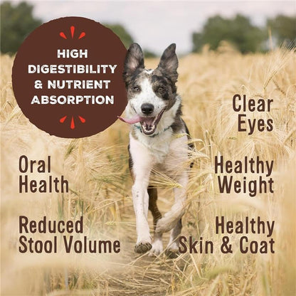 Primal Dog & Cat Food Toppers, Cupboard Cuts, Beef, 3.5 oz