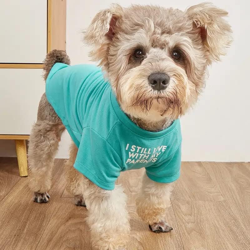 Cute Dog Clothes, T Shirt for Medium and Small Dogs Girl Boy,Puppy.Breathable Soft Dog Costume for Pet Dogs Cats, Pet Pullover Jumper, Cat Clothes (L-(10~17lb), Chest~18", Aqua)