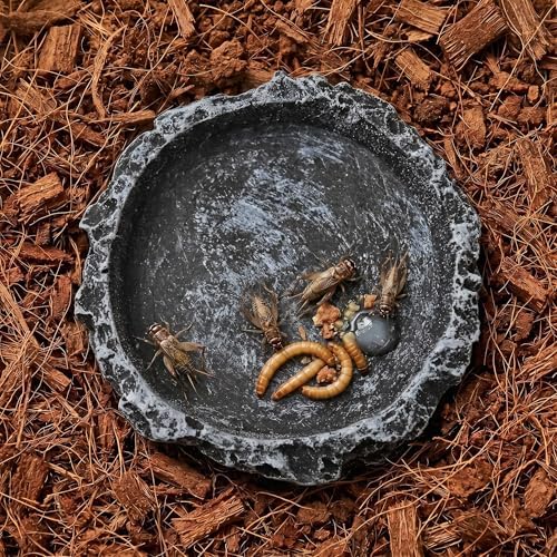 2Pcs Reptile Water Bowl, Feeding Dish for Leopard Gecko Lizard