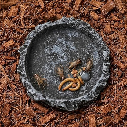 2Pcs Reptile Water Bowl, Feeding Dish for Leopard Gecko Lizard