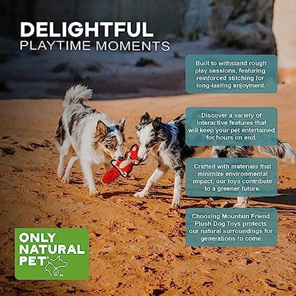 Only Natural Pet Mountain Friends Recycled Plush Dog Toys - Durable Double-Stitched Design with Internal Squeaker, Large Plush Ears & Soft Crinkle Tail - Squeaky Pet Toy | Francis the Fox, 5.5" x 12"