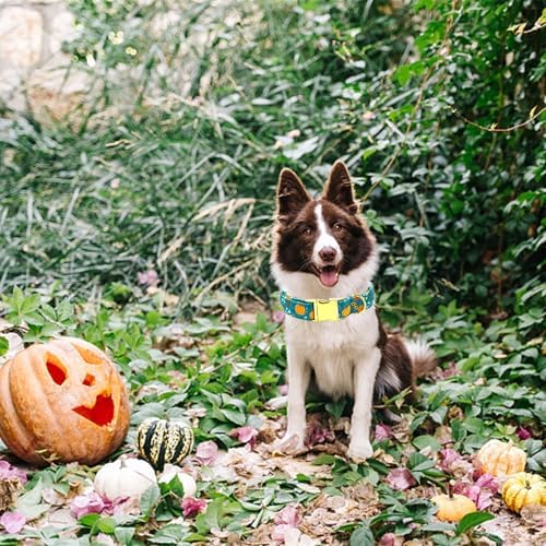 Dog Collars, Fall Dog Collar Fall Pumpkin Print Pet Collar Durable Metal Collar Cute Soft Dog Collar Puppy Collars Adjustable Dog Collar for X-Small Dogs