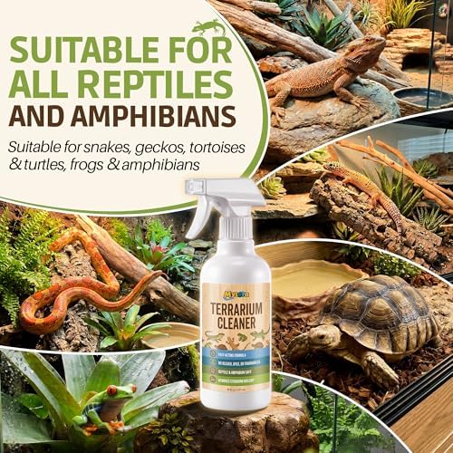 Bearded Dragon Tank Cleaner Kit with Brush, 16oz