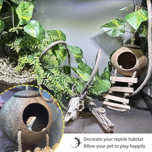 Crested Gecko Tank Accessories,Gecko Coconut Hut Hideout with Ladder Reptile Hammock Lizards Hanging Plants Flexible Climbing Jungle Vine Leaves Terrarium Decor
