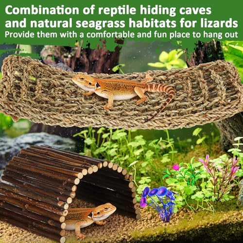 Foilswirl 18 Pcs Bearded Dragon Tank Accessories Reptile Bridge Hammock