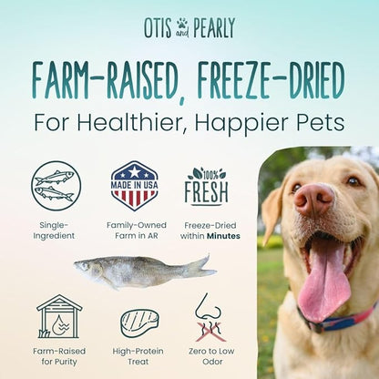 Otis & Pearly Freeze Dried Minnow Dog Treats - Single Ingredient, Made in USA - Healthy Protein Treat for Small, Medium, Large Breeds, 1 oz