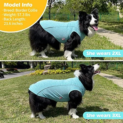 KYEESE Reflective Dog Shirt, Lightweight Sun Protection Dog T Shirts for Medium Large Dogs Boy, Breathable Sleeveless Pet Tank Top Summer Dogs Clothes for Night Walking Outdoor, Lake Blue, 2XL
