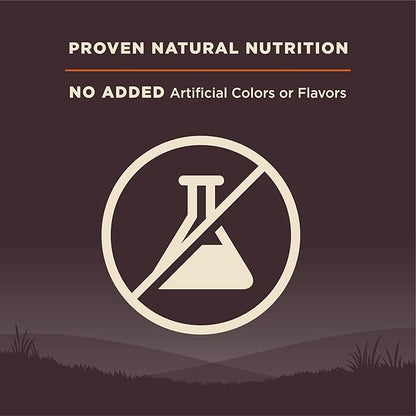 Wellness CORE Small Breed Adult Dry Dog Food, Grain Free Kibble, Natural, High Protein, Turkey and Chicken Recipe, 12 lb Bag