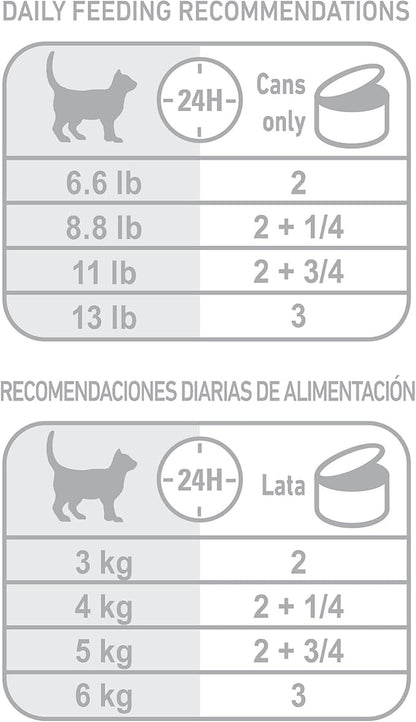 Royal Canin Feline Health Nutrition Indoor Adult Morsels in Gravy Cat Food, 3 oz (Pack of 24)