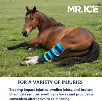 Horse Ice Boots 2-Pack - Reusable Gel Cold Therapy Pack for Swelling & Pain Relief, Cooling Wraps for Hock, Knee, Ankle, Hoof, Adjustable Fit for Horses, Ponies, Drafts, Durable, Leak-Resistant (Blue)