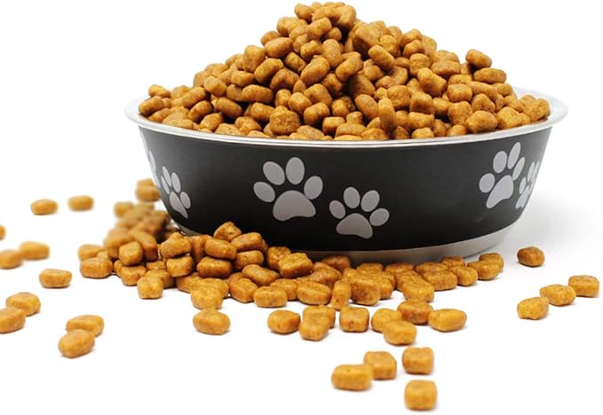 Food Bowl & Water Bowl for Dogs & Cats | Designer Series: Paw Print Detail, Stainless Steel & Black, 28 oz (FPP-Black M)