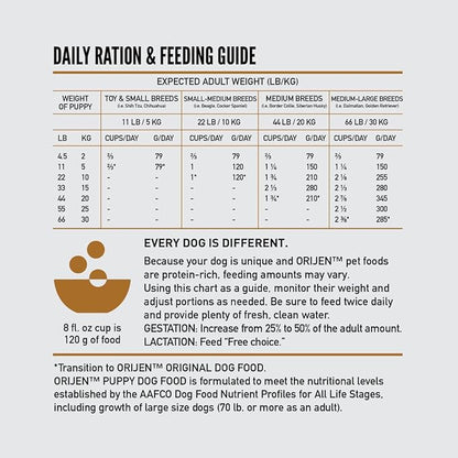 ORIJEN Grain Free High Protein Dry Dog Food Puppy Recipe 13lb Bag