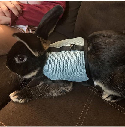 Bunny Harness and Leash Escape Proof Soft Mesh Rabbit Leash and Harness Set
