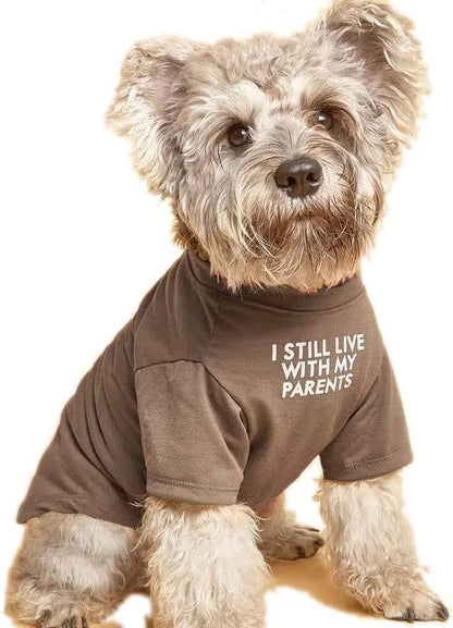 Cute Dog Clothes,Dog T Shirt for Girl/Boy Medium and Small Dogs,Puppy.Breathable Soft Pet Costume for Pet Dogs Cats,Pet Pullover Jumper,Cat Clothes (XXL-(19~23lb), Chest~21.5", Khaki)