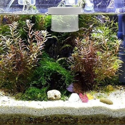 Ipetboom Fish Tank Separate Box Small Aquarium Breeding Box Floating Fish Fry Holder for Aquarium Isolation and Breeding 3.94X3.94X3.15 Inches