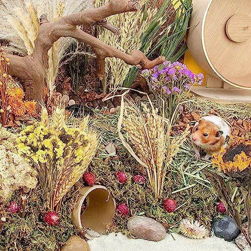 Natural Ear of Grain Flower&Herb Bedding Mate Habitat Decor, Adding Fun Hamster Accessories for Hamsters Gerbils Lemming