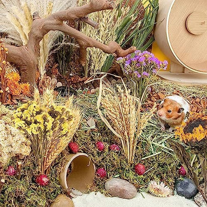 Natural Ear of Grain Flower&Herb Bedding Mate Habitat Decor, Adding Fun Hamster Accessories for Hamsters Gerbils Lemming