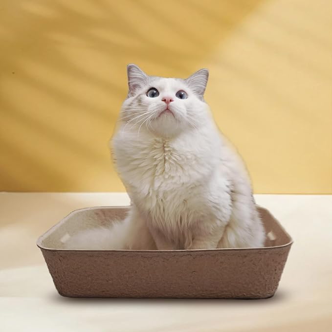 Disposable Cat Litter Box, Sturdy and Durable, Extra Thick, Large Size - 16.2"x12.6"x3.9", Leak Resistant and Sustainable, Disposable Litter Boxes for Cats (Brown, 1-Pack)