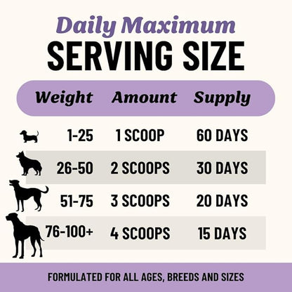 Fido's Grass-Fed Beef Bone Broth for Dogs 7oz with 94% Protein - Picky Eaters Human Grade Bone Broth Powder for Dogs - Made in USA - No Preservatives - Supports Joints + Gut Health - 60 Scoops