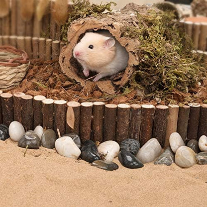 Niteangel Hamster Suspension Bridge Toy: 25.6" x 2.8" Flexible & Bendable
