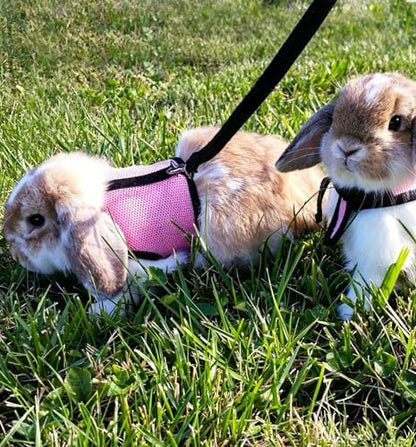 Bunny Harness and Leash Escape Proof Soft Mesh Rabbit Leash and Harness Set
