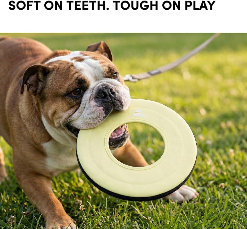 OllyDog Super Flyer Dog Flying Disc – Floating Fetch Toy for Water Play, Soft Eco-Friendly Recycled Fabric, Gentle on Teeth, 11" for Medium & Large Dogs (Sol, 11")