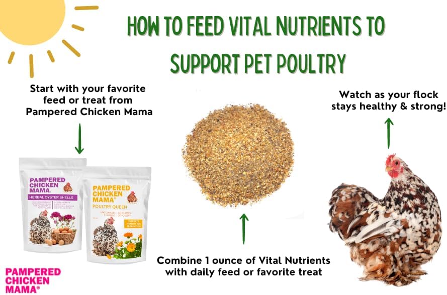 Vital Nutrients: Chicken Vitamins for Feed & Molting Supplement, Egg Booster, Poultry & Chicken Vitamins - Pampered Chicken Mama (5 pounds)
