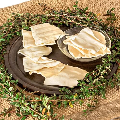 Pet Factory 100% USA Made Beefhide 8in Rolls Dog Dental Chews - Thick Rawhide Dental Chews for Dogs, Promotes Healthy Teeth & Gums, 99% Digestible - 8 Ounce (Pack of 1)