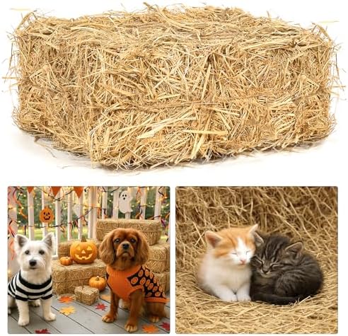 BobbleT Natural Wheat Straw – 5 LB Clean & Dry Straw Bedding for Cats, Soft Straw for Cat Shelters, Cozy Warm Bedding for Stray Cats, Dogs & Poultry, Ideal for Chicken Coop, Great for Decoration