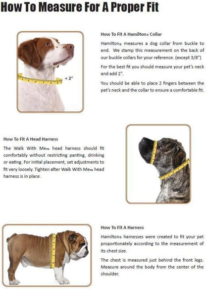 Hamilton Adjustable Nylon Dog Harness, Small 5/8" x 12-20", Red