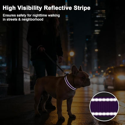 Taglory AirTag Dog Collar with Waterproof Holder for Small Dogs, Purple, S | Reflective for Night Walks & Low-Light Safety, Track Your Pup Peace of Mind, Adjustable Soft Padded, No More Dangling Tags