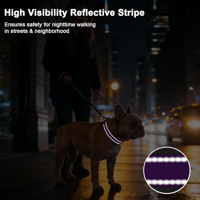 Taglory AirTag Dog Collar with Waterproof Holder for Large Dogs, Purple, L | Reflective for Night Walks & Low-Light Safety, Track Your Pup Peace of Mind, Adjustable Soft Padded, No More Dangling Tags