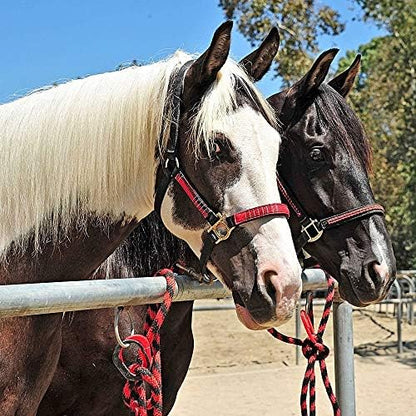 Injuries Preventing Horse Tether Tie - Portable, Versatile & Reusable Breakaway Horse Tie, Quick Release Under Heavy Pressure w/ 5 Loop Settings, Multi-Purpose Horse Clip (2 pcs Dark Blue)
