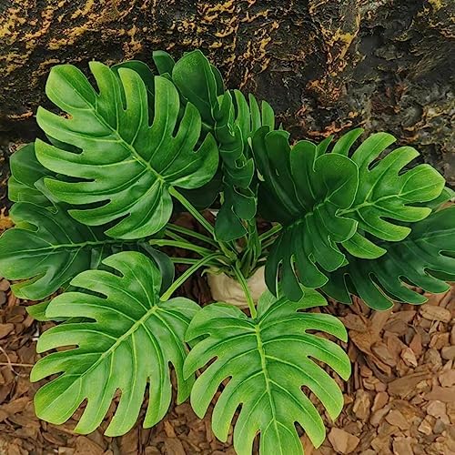 Reptile Plants for Terrarium Decor,Leopard Gecko Tank Plants