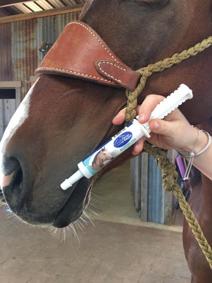 Dream Horse Calming Paste for Horses, Stress & Focus, 16oz