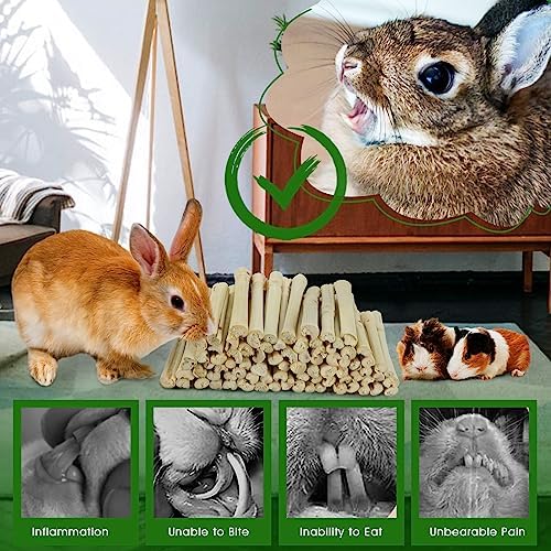 BWOGUE 1000g Bamboo Chews for Rabbits, Rabbit Chew Toys Sweet Bamboo Sticks