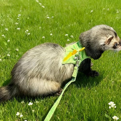Small Animal Harness and Leash Set, Adjustable Escape Proof Ferret Harness Vest for Adult Ferret, Meerkat, King Squirrel & Fancy Rat, Soft Comfortable Pet Walking Harness with Leash