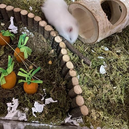 Rat Bendy Long Suspension Bridges 15.7 x 3.9 Inch Gerbil Wooden Ramp Hamster Cage Climbing Ladder Natural Wood Chews Toys for Rodents Mouse Dwarf Hamster
