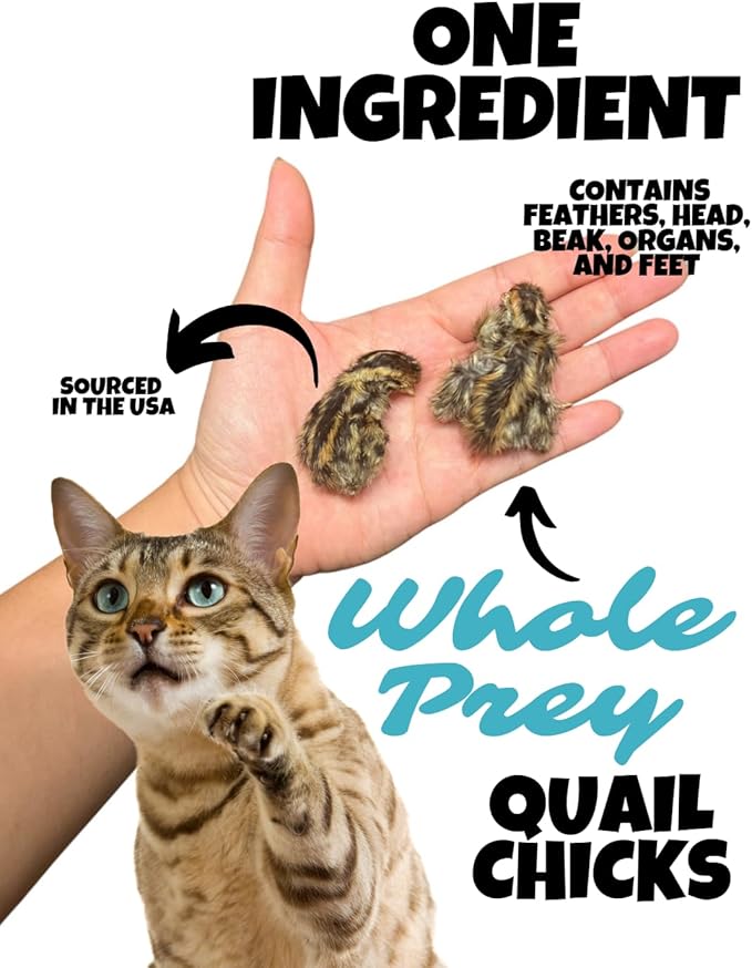 Freeze Dried Whole Prey Quail Chicks for Cats, Dogs, & Ferrets- Whole Feathered Quail Treats for Dogs- Single Ingredient- 12 Count