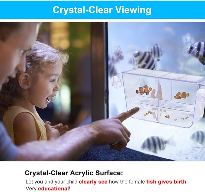 DaToo Fish Breeding Box Aquarium Holding Tank Transparent Fish Isolation Box Acclimation Hatchery Incubator Breeder for Betta Shrimp Clownfish Guppy Large