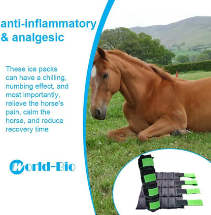 WORLD-BIO Horse Ice Boots Set of 2 /Horse Ice Pack for Injuries, Therapy Full Leg Ice Boot Cold Pack with Flexible Straps for Hock, Ankle, Knee, Legs and Hooves, 16.9'' x 16.1'' Green