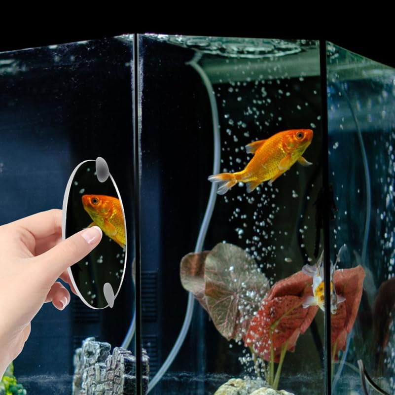 INOOMP Betta Fish Exercise Mirror Single Side Tank Mirror with Suction Cups Fish Bowl for Training Aquarium D Cor Cute Tank Decorations 2.75 * 2.75 * 0.11In