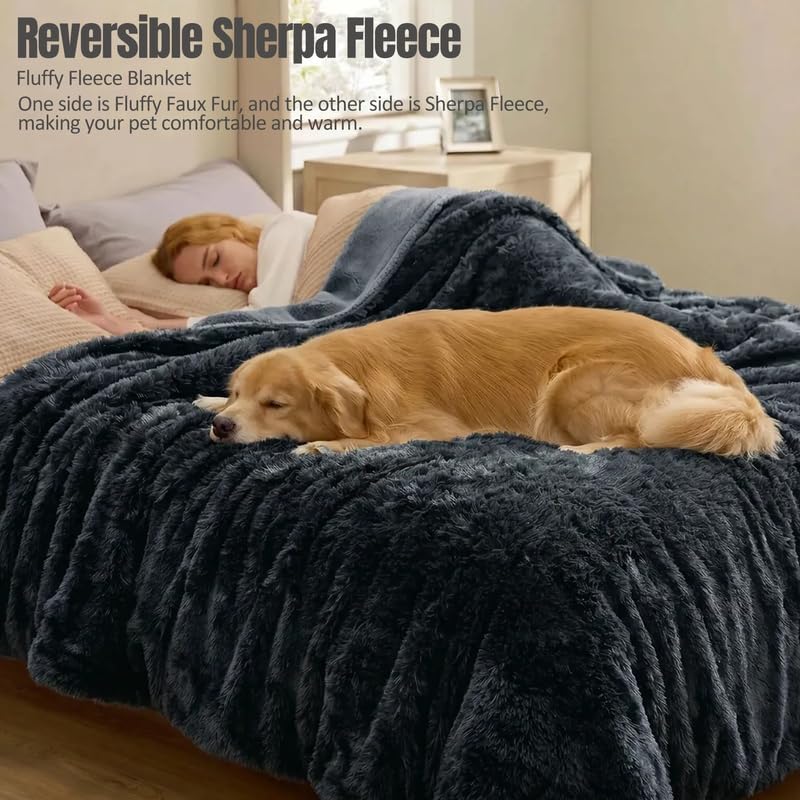 Waterproof Dog Blanket Pet Throw Blankets Fluffy Long Faux Fur Reversible Puppy Blankets 65x57in Furniture Protector Cover for Sofa Bed Couch Bed Cover Washable for Dogs Cats (Black L)