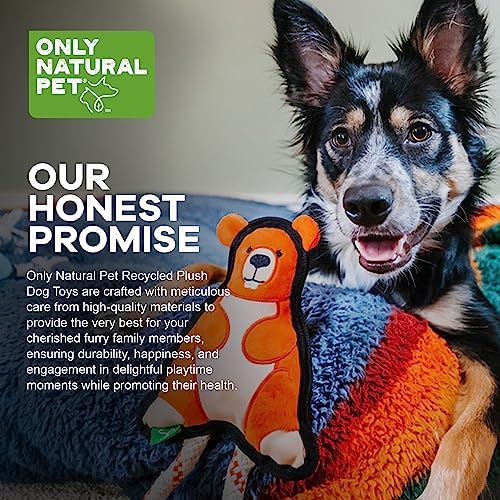 Only Natural Pet Mountain Friends Recycled Plush Dog Toys - Durable Double-Stitched Design with Internal Squeaker & Rope Tug Tail - Stuffed Toy for Dogs, Pet Toy | Beckham the Beaver, 5.5" x 11"